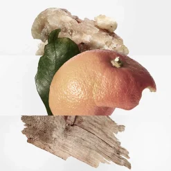 Clearance Damen Düfte·Eau De Toilette Spray