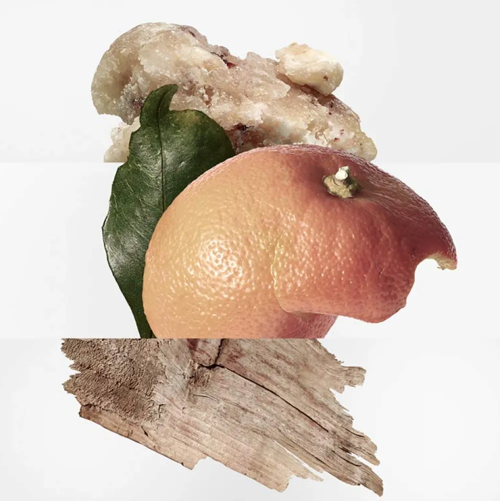 Clearance Damen Düfte·Eau De Toilette Spray