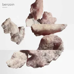 Clearance Damen Düfte·Eau De Toilette Spray