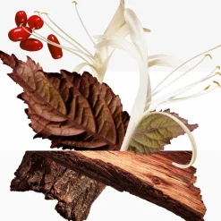 Discount Damen Düfte·Eau De Parfum Spray