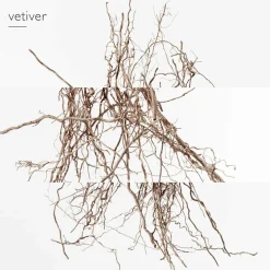 Herren Düfte·Eau De Parfum Spray