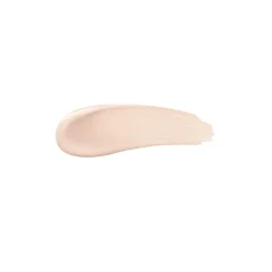 Online Concealer