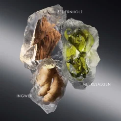 Best Herren Düfte·Eau De Toilette Spray