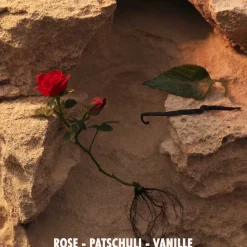 Online Damen Düfte·Eau De Parfum Spray