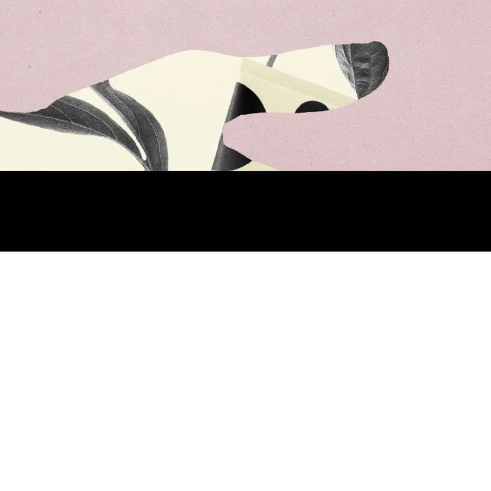 Sale Handpflege·Handpflege