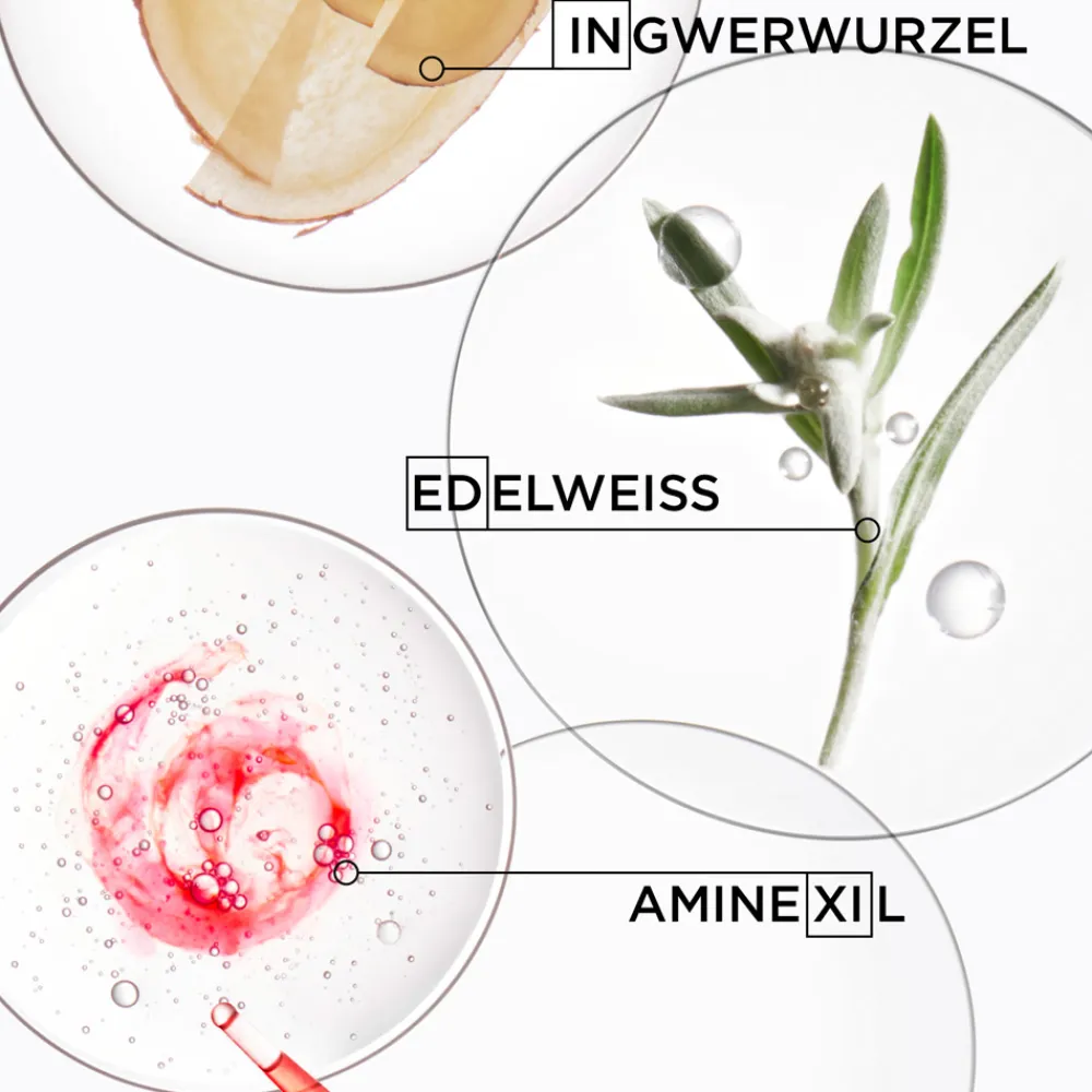 Discount Shampoo·Shampoo