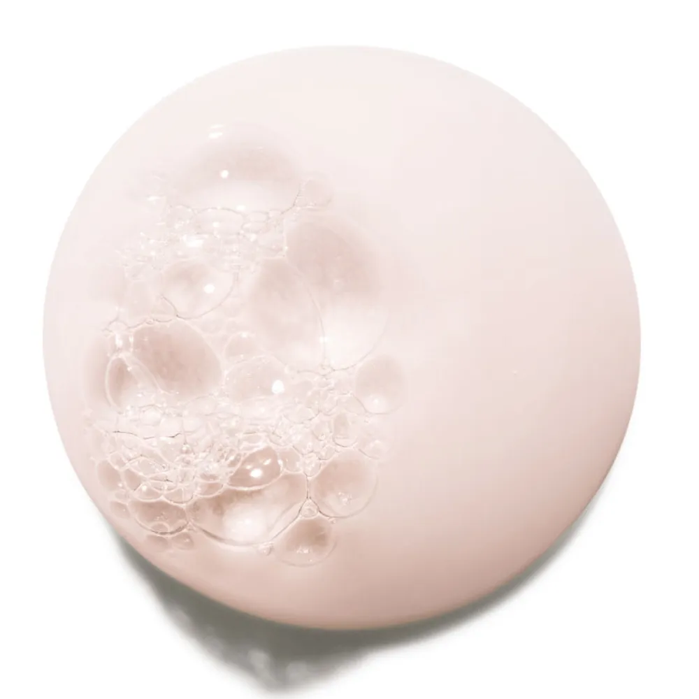 New Shampoo·Shampoo