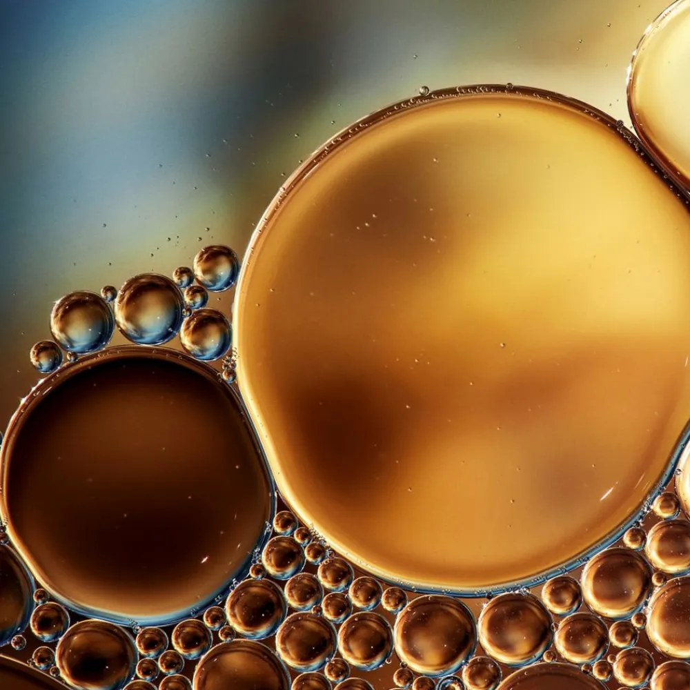 Discount Reinigung·Cleansing