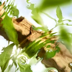 Sale Damen Düfte·Eau De Toilette Spray