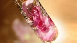 Clearance Gesichtpflege·Tagespflege