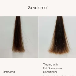 Clearance Shampoo·Shampoo