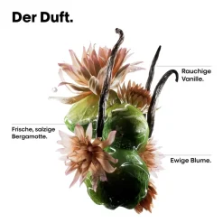 Clearance ·Kur & Serum