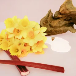 Online Damen Körperpflege·Body Lotion