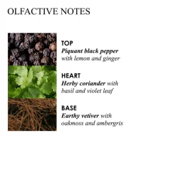 Sale Reinigung·Bath & Shower