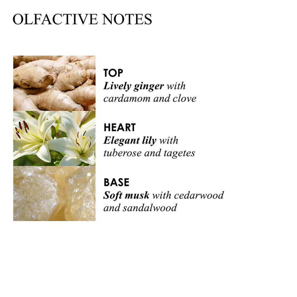 Online Handpflege·Handpflege