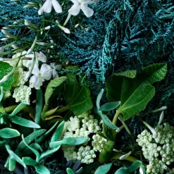 Online Damen Körperpflege·Body Lotion