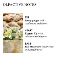 Online Handpflege·Handreinigung