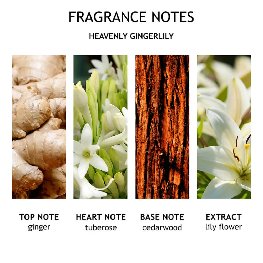 Hot Pflege·Body Lotion