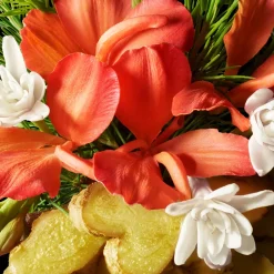 Hot Pflege·Body Lotion