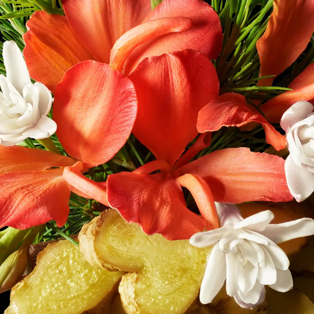 Hot Pflege·Body Lotion