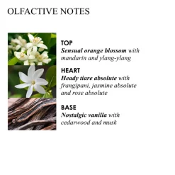 Discount Handpflege·Handreinigung