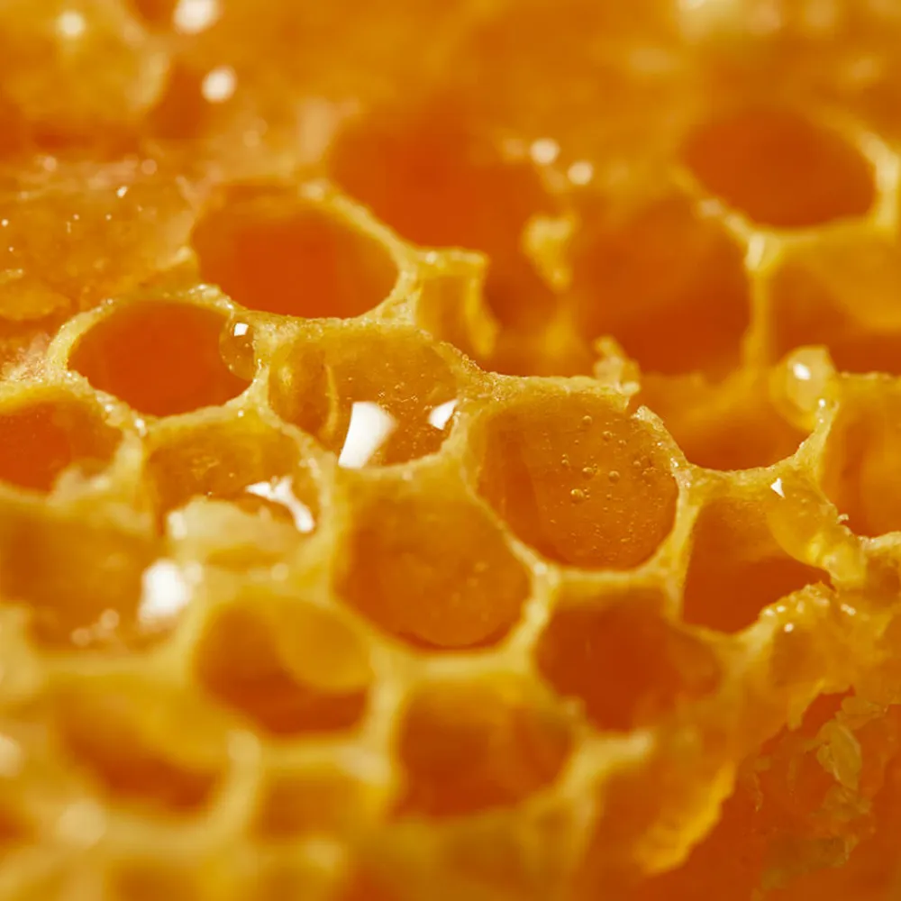 Best Lippenpflege·Lippenpflege