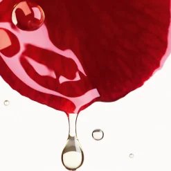 Online POLSTERT AUF – GLÄTTET – SCHÜTZT Anti Aging·Anti-Aging