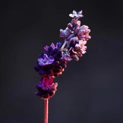 Outlet Herren Deodorants·Deo Spray