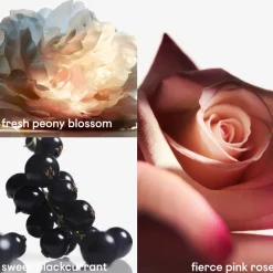 Online Damen Düfte·Eau De Parfum Spray