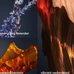 Outlet Herren Düfte·Parfum