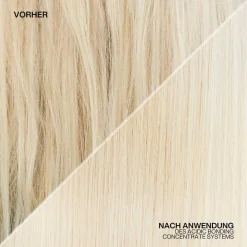 Clearance Shampoo·Shampoo