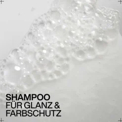 New Shampoo·Shampoo