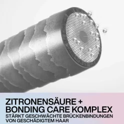 Discount Shampoo·Shampoo