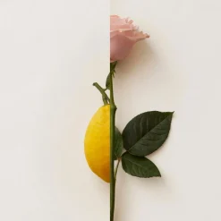 Discount Rosa Limone Extrait de Parfum Damen Düfte·Parfum