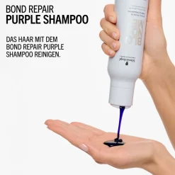 Shampoo·Shampoo