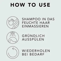Online Shampoo·Shampoo