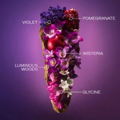 Best Damen Düfte·Eau De Parfum Spray