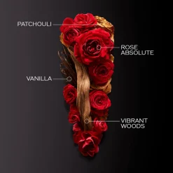 Outlet Damen Düfte·Eau De Parfum Spray