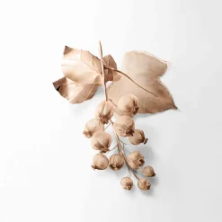 New Damen Düfte·Eau De Parfum Spray