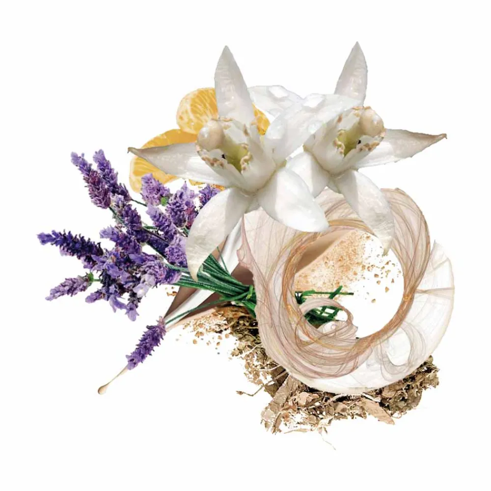 Clearance Damen Düfte·Eau De Parfum Spray