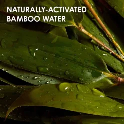 Sale Shampoo·Shampoo