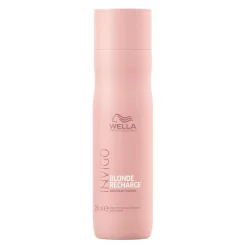 Discount Shampoo·Shampoo