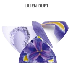 Discount Shampoo·Shampoo