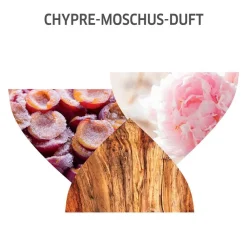 Best Shampoo·Shampoo