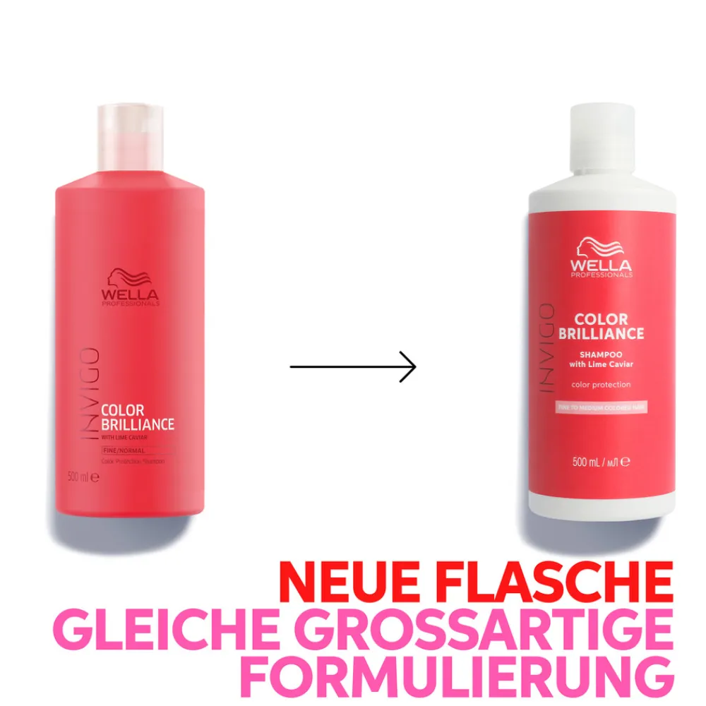 Hot Shampoo·Shampoo