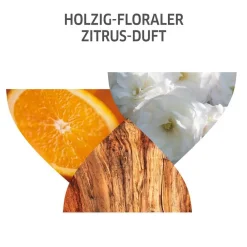 Online Shampoo·Shampoo